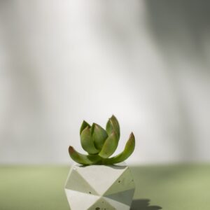 [EJEMPLO] Maceta geométrica para plantas
